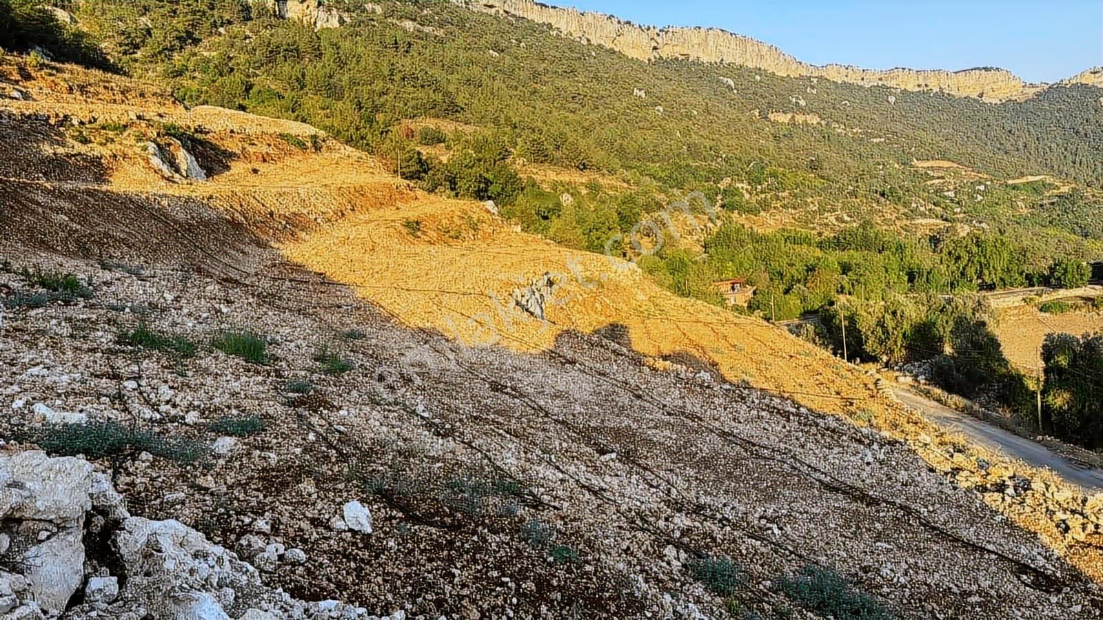 Yola Sıfır 28 Dönüm Elektrik Su Sorunu Yok Fırsat Arsa - Görsel 6