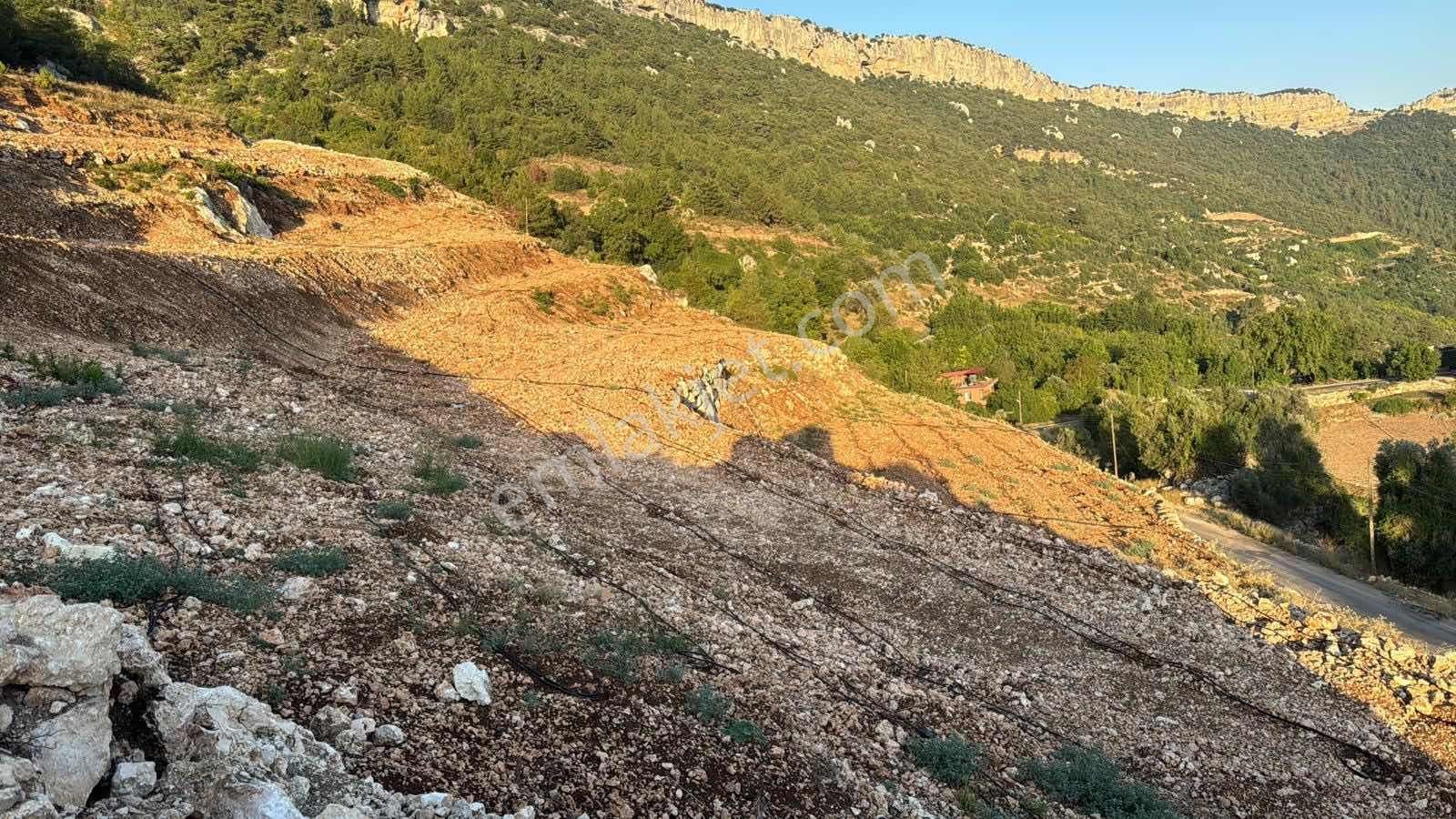 Yola Sıfır 28 Dönüm Elektrik Su Sorunu Yok Fırsat Arsa - Görsel 9