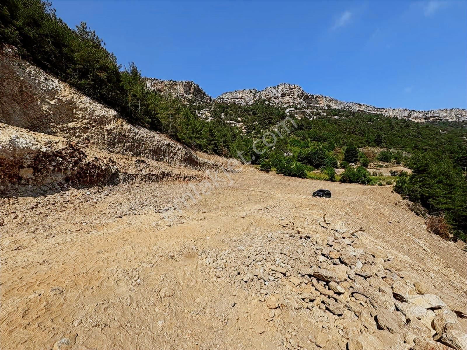 Yola Sıfır 28 Dönüm Elektrik Su Sorunu Yok Fırsat Arsa - Görsel 2