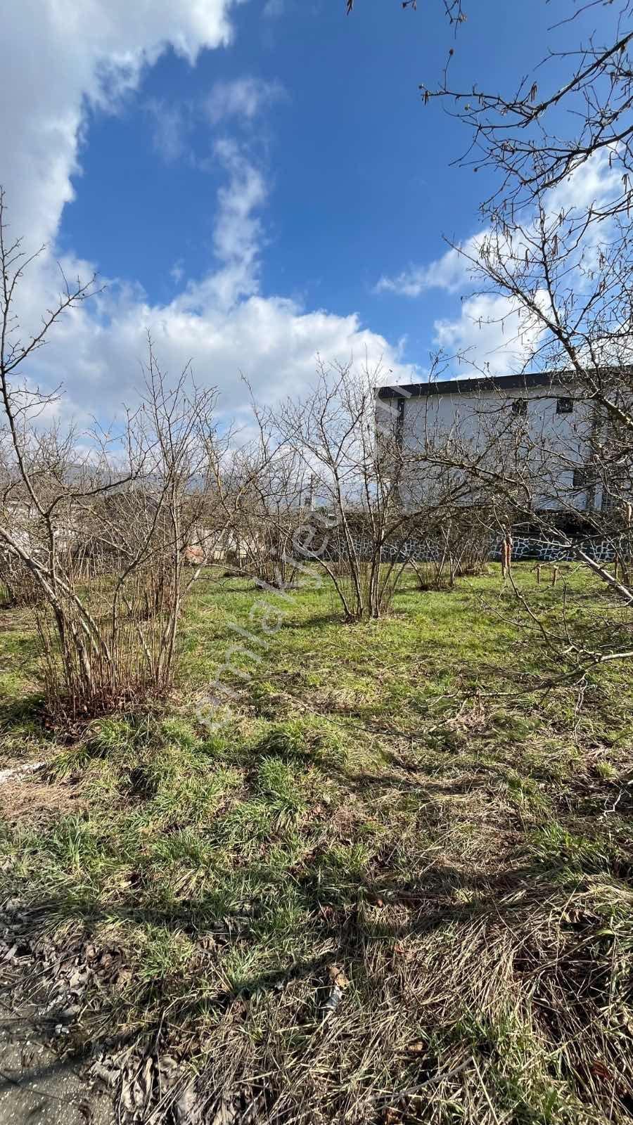 Ruşen Aydın Gayrimenkulden Kaynaşlı Sarıyer Mah. Satılık Arsalar - Görsel 24