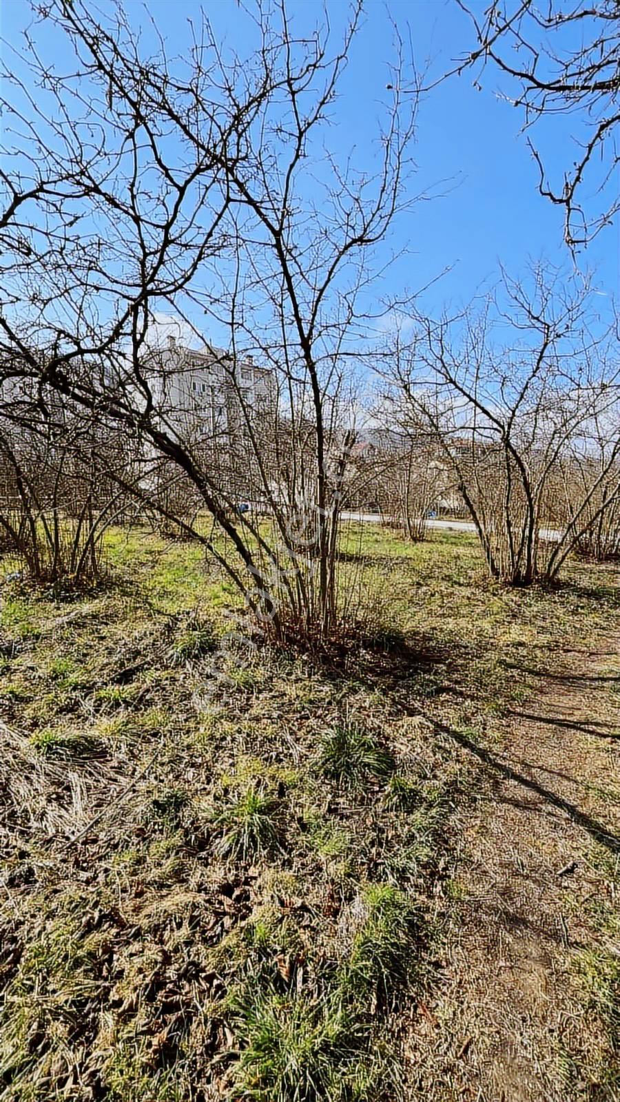 Ruşen Aydın Gayrimenkulden Kaynaşlı Sarıyer Mah. Satılık Arsalar - Görsel 33