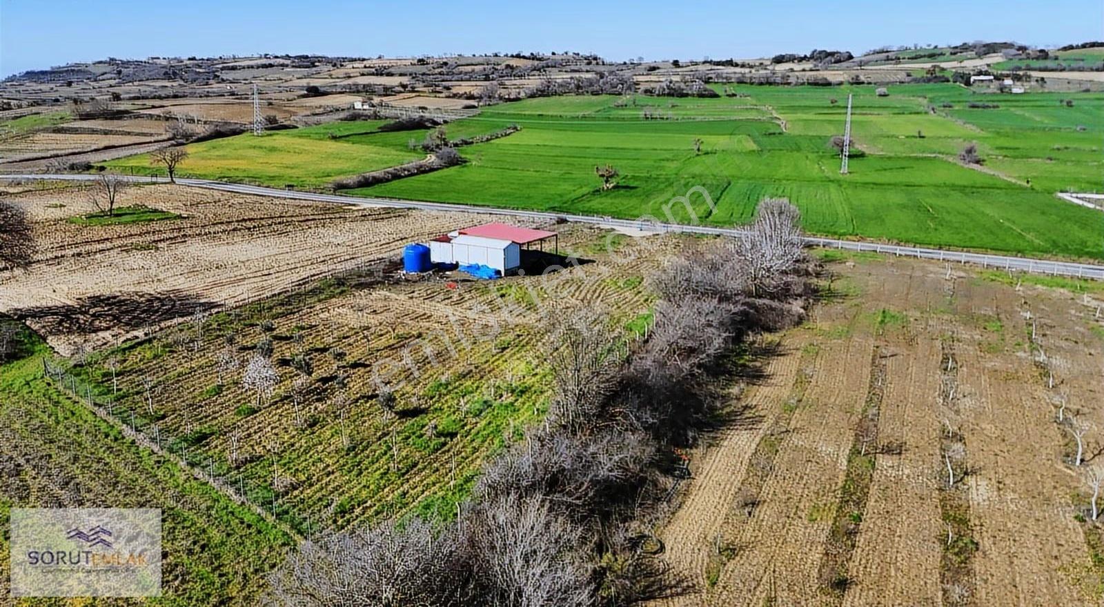 Mecidiye Köyü'nde Satılık 2800m² Fidanlık Ve Yaşam Alanı - Görsel 4