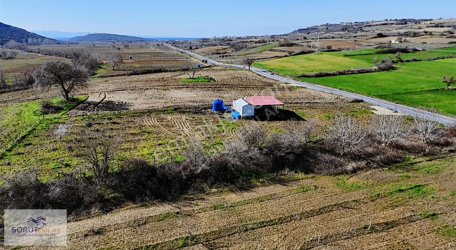 Mecidiye Köyü'nde Satılık 2800m² Fidanlık Ve Yaşam Alanı - Görsel 23