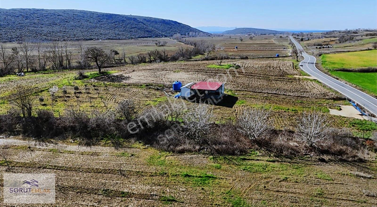 Mecidiye Köyü'nde Satılık 2800m² Fidanlık Ve Yaşam Alanı - Görsel 24