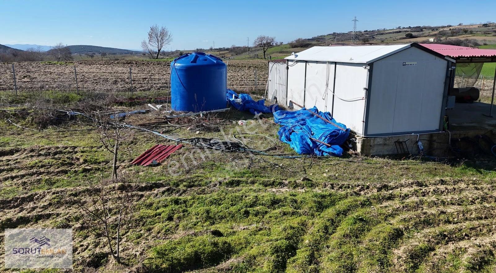 Mecidiye Köyü'nde Satılık 2800m² Fidanlık Ve Yaşam Alanı - Görsel 32