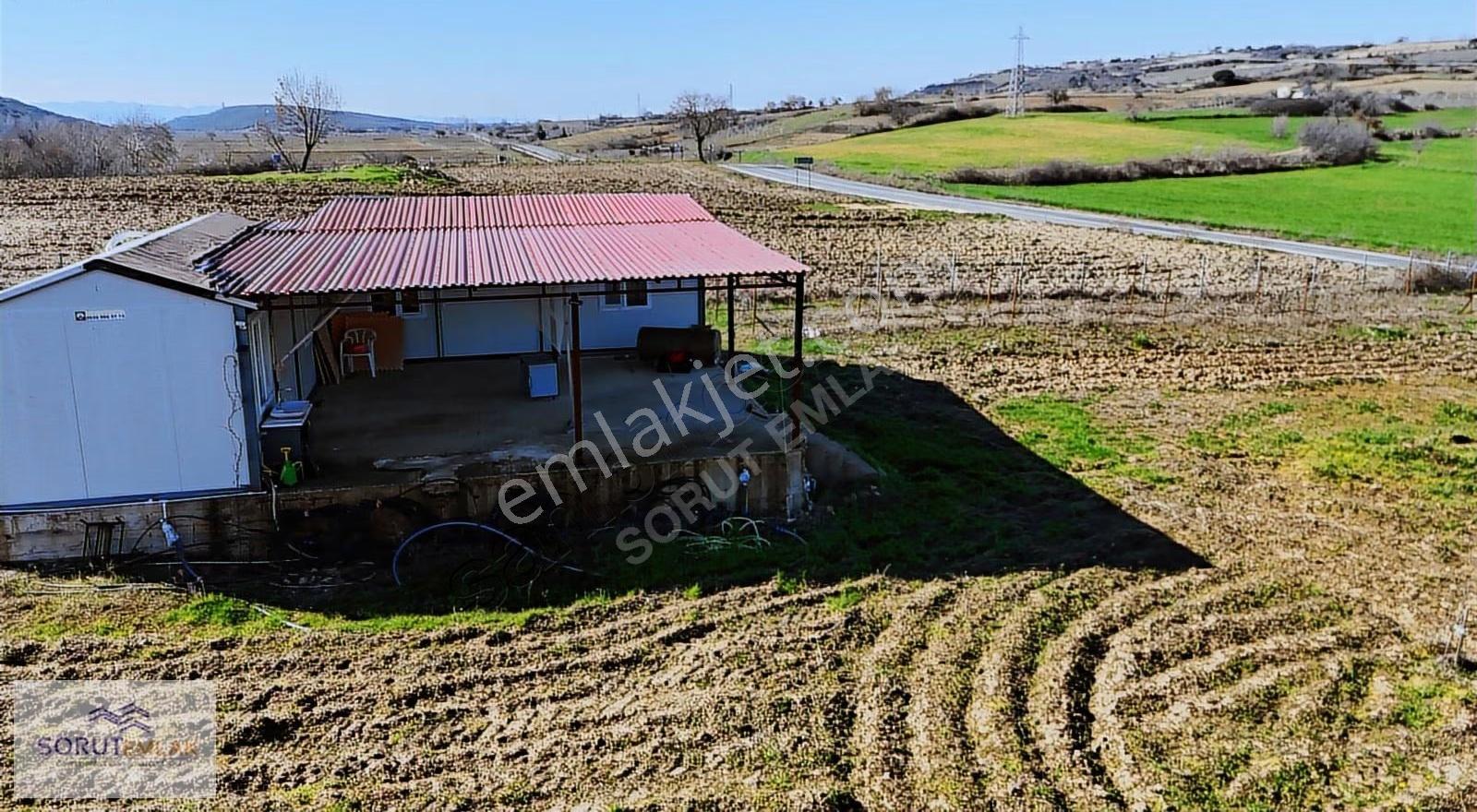 Mecidiye Köyü'nde Satılık 2800m² Fidanlık Ve Yaşam Alanı - Görsel 25