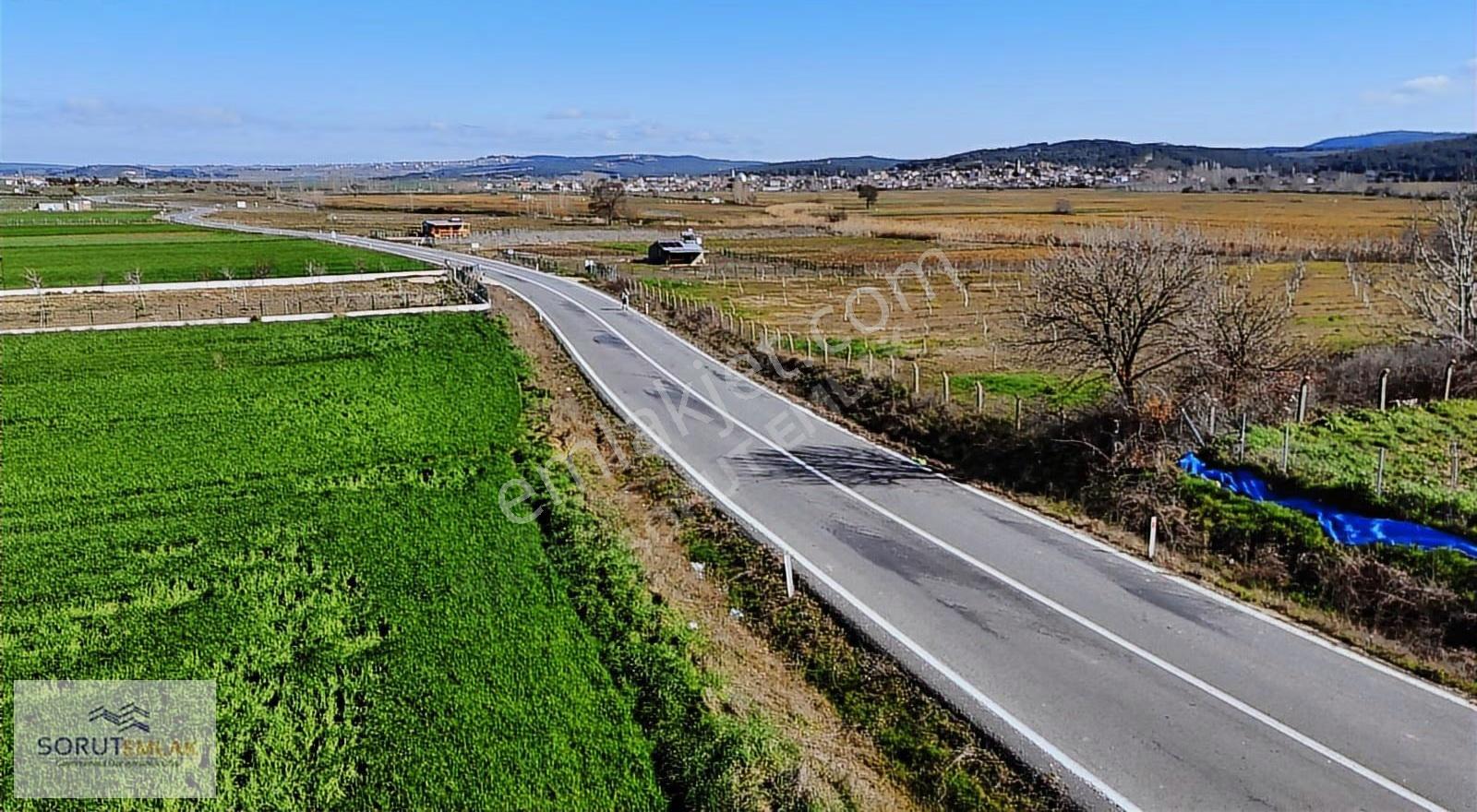 Mecidiye Köyü'nde Satılık 2800m² Fidanlık Ve Yaşam Alanı - Görsel 7