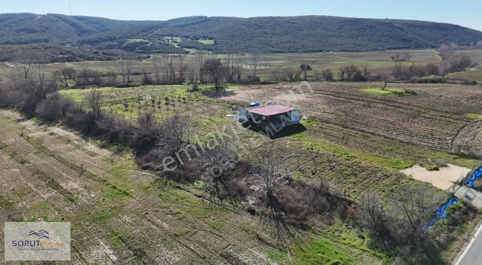 Mecidiye Köyü'nde Satılık 2800m² Fidanlık Ve Yaşam Alanı - Görsel 22