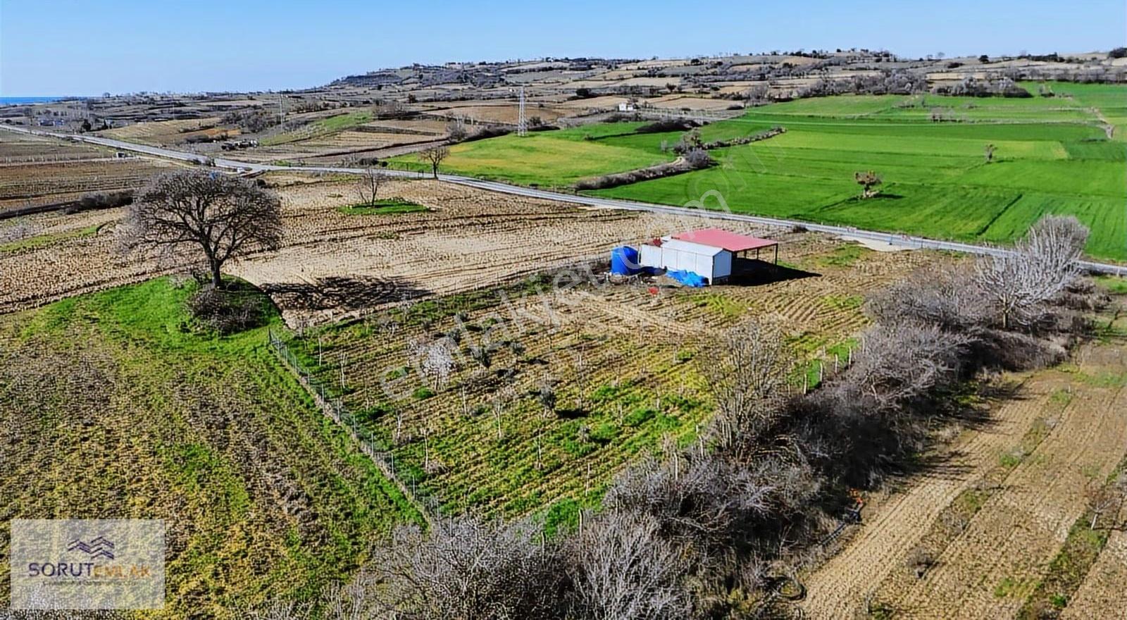 Mecidiye Köyü'nde Satılık 2800m² Fidanlık Ve Yaşam Alanı - Görsel 29