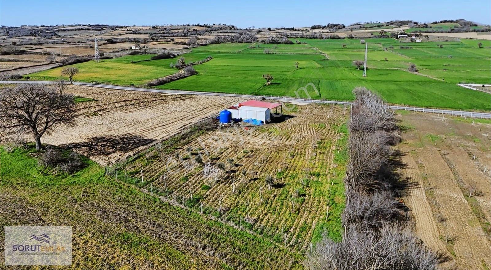 Mecidiye Köyü'nde Satılık 2800m² Fidanlık Ve Yaşam Alanı - Görsel 33