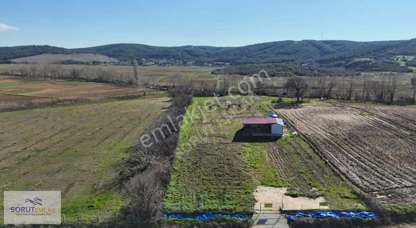 Mecidiye Köyü'nde Satılık 2800m² Fidanlık Ve Yaşam Alanı - Görsel 21