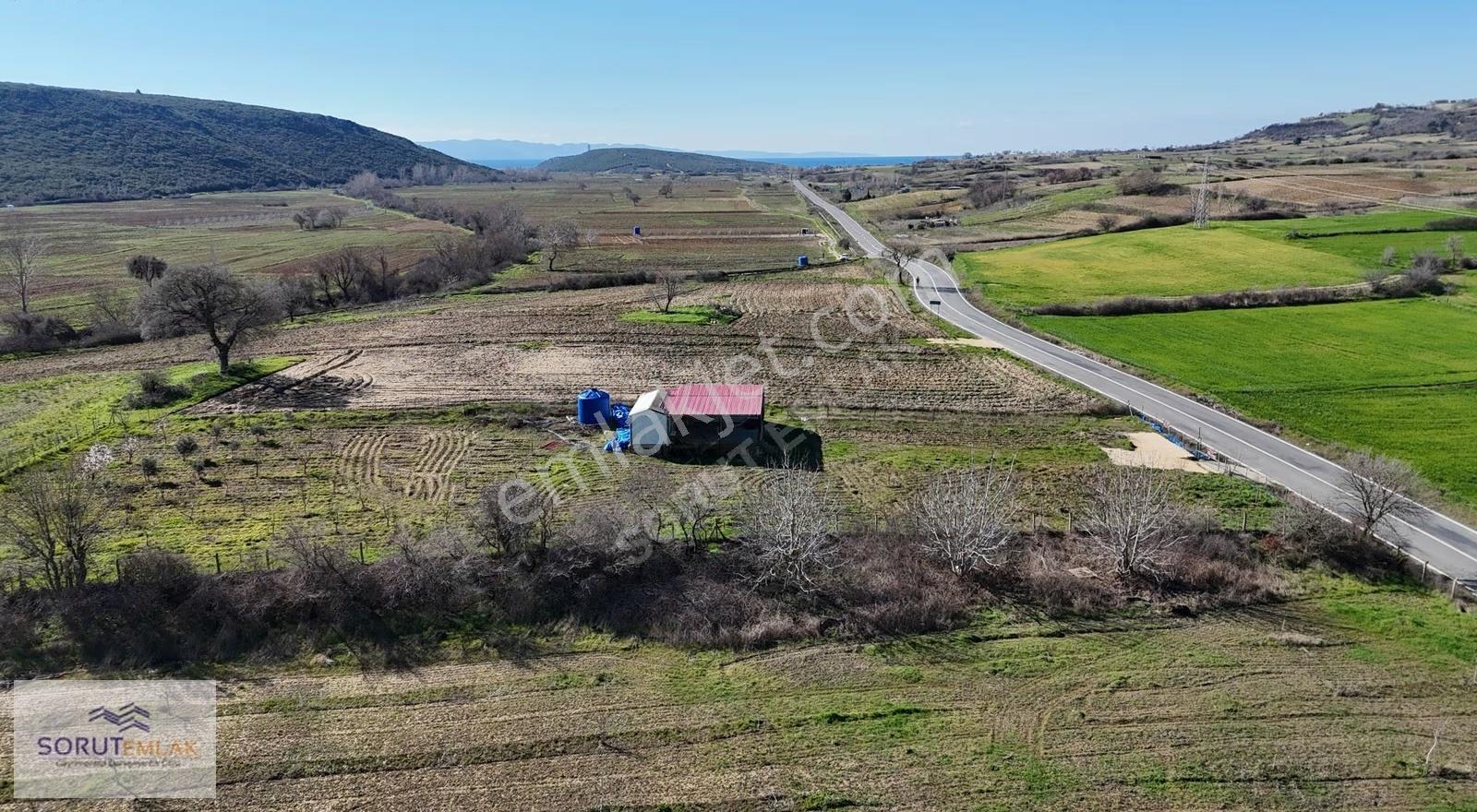 Mecidiye Köyü'nde Satılık 2800m² Fidanlık Ve Yaşam Alanı - Görsel 17