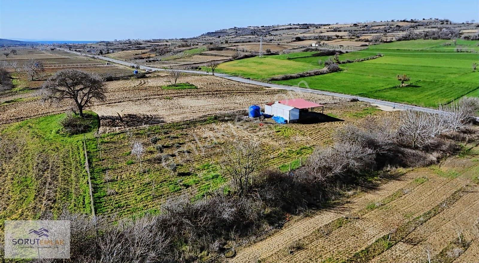 Mecidiye Köyü'nde Satılık 2800m² Fidanlık Ve Yaşam Alanı - Görsel 2