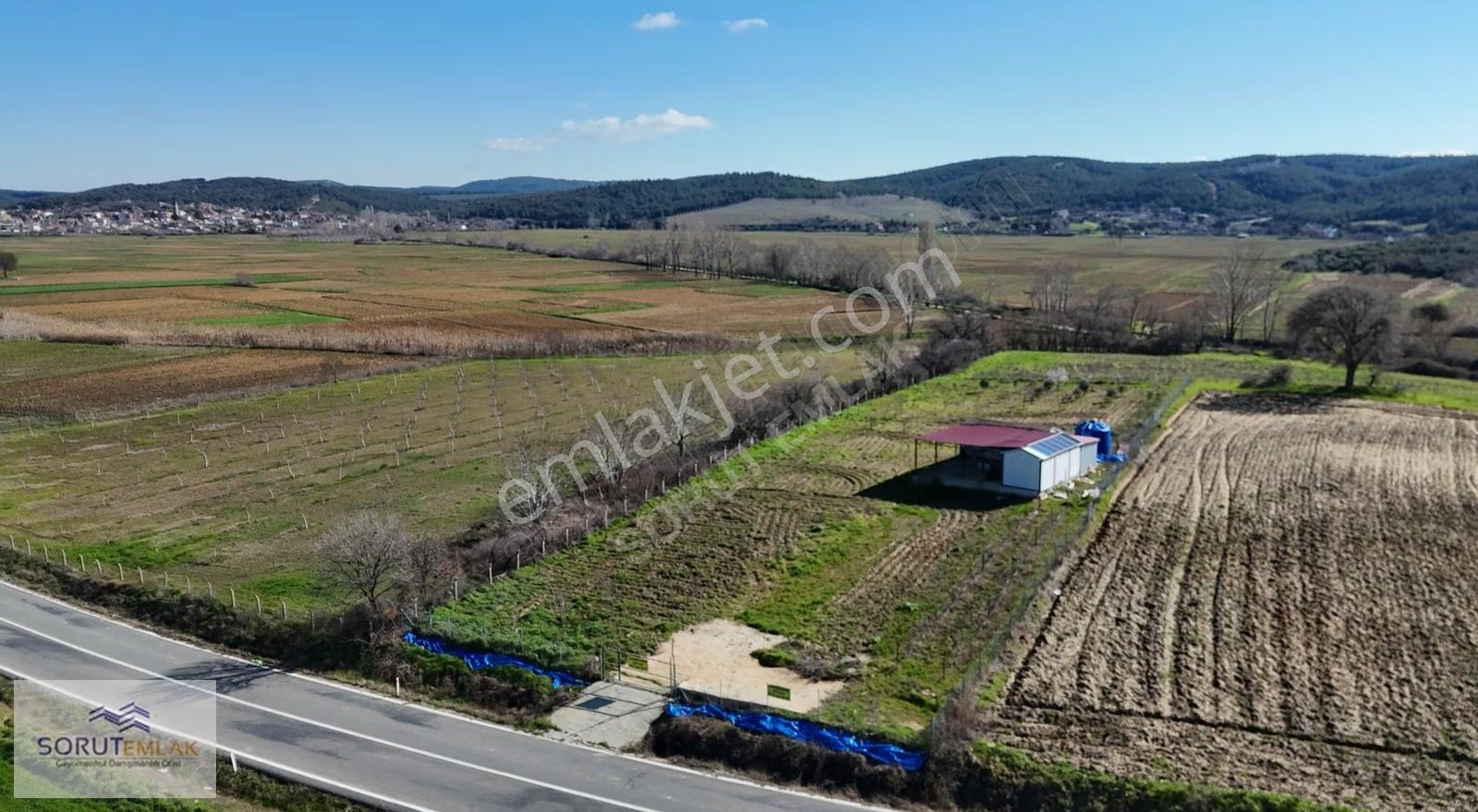 Mecidiye Köyü'nde Satılık 2800m² Fidanlık Ve Yaşam Alanı - Görsel 8