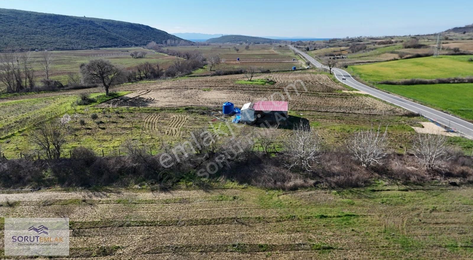 Mecidiye Köyü'nde Satılık 2800m² Fidanlık Ve Yaşam Alanı - Görsel 10