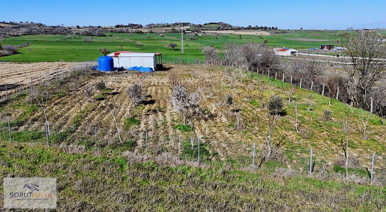 Mecidiye Köyü'nde Satılık 2800m² Fidanlık Ve Yaşam Alanı - Görsel 13
