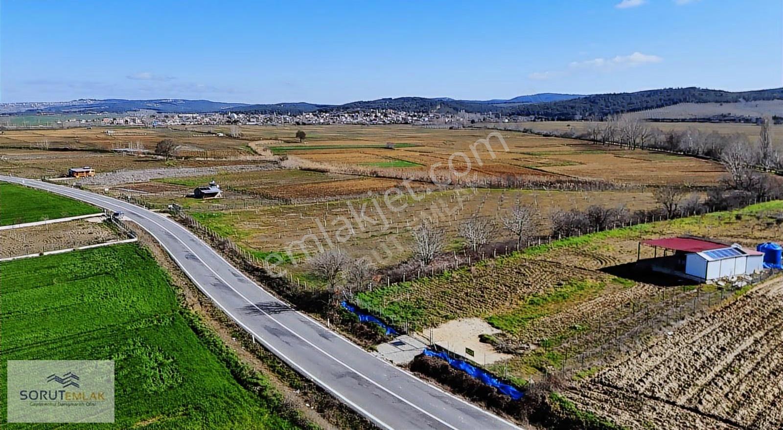 Mecidiye Köyü'nde Satılık 2800m² Fidanlık Ve Yaşam Alanı - Görsel 34