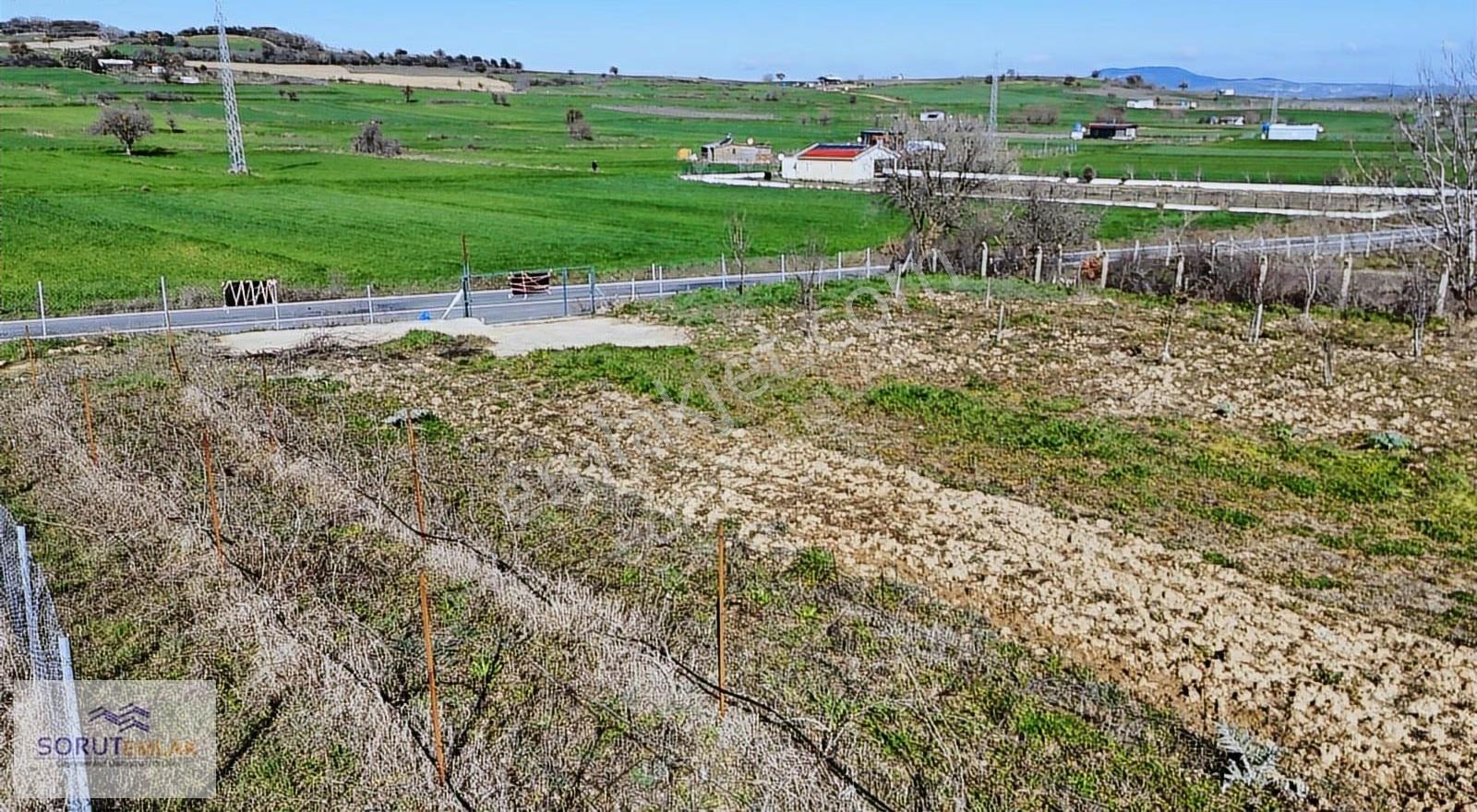 Mecidiye Köyü'nde Satılık 2800m² Fidanlık Ve Yaşam Alanı - Görsel 19