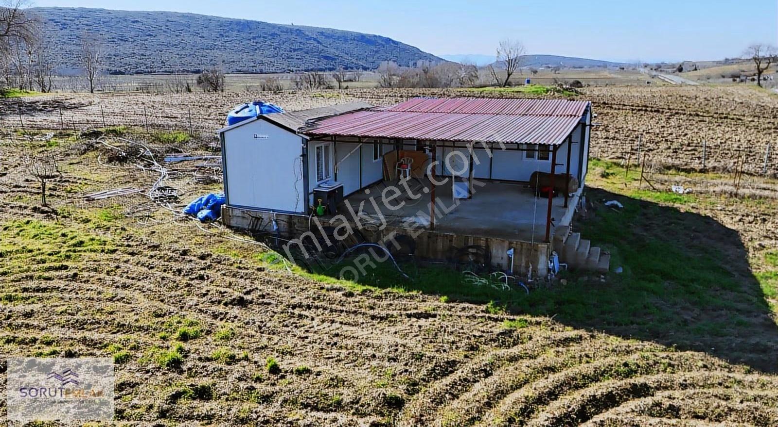 Mecidiye Köyü'nde Satılık 2800m² Fidanlık Ve Yaşam Alanı