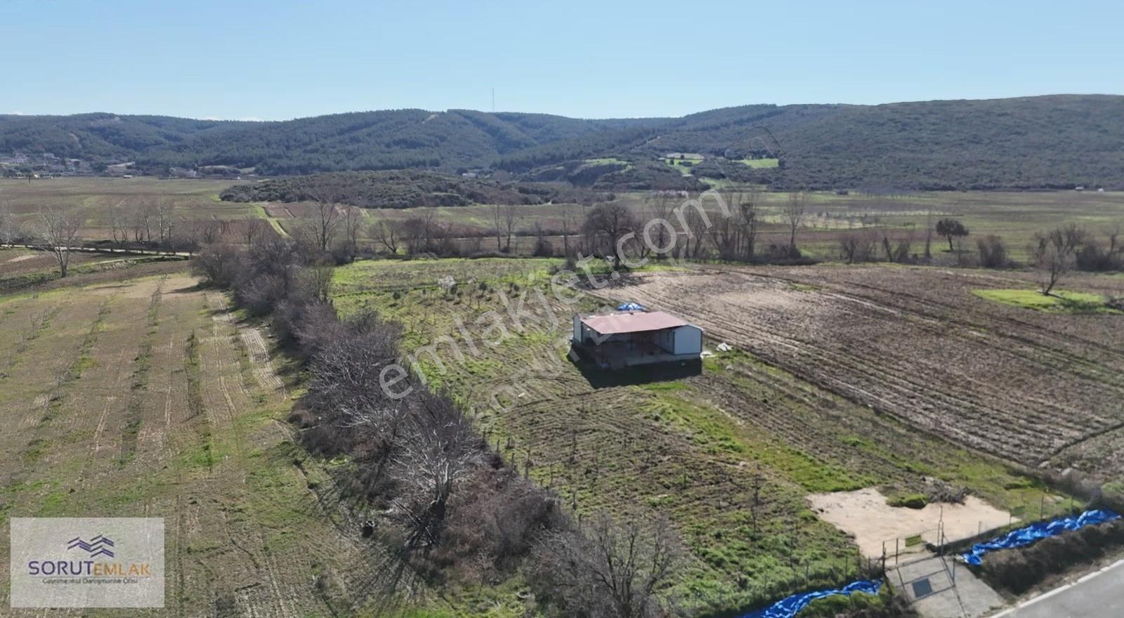 Mecidiye Köyü'nde Satılık 2800m² Fidanlık Ve Yaşam Alanı - Görsel 31