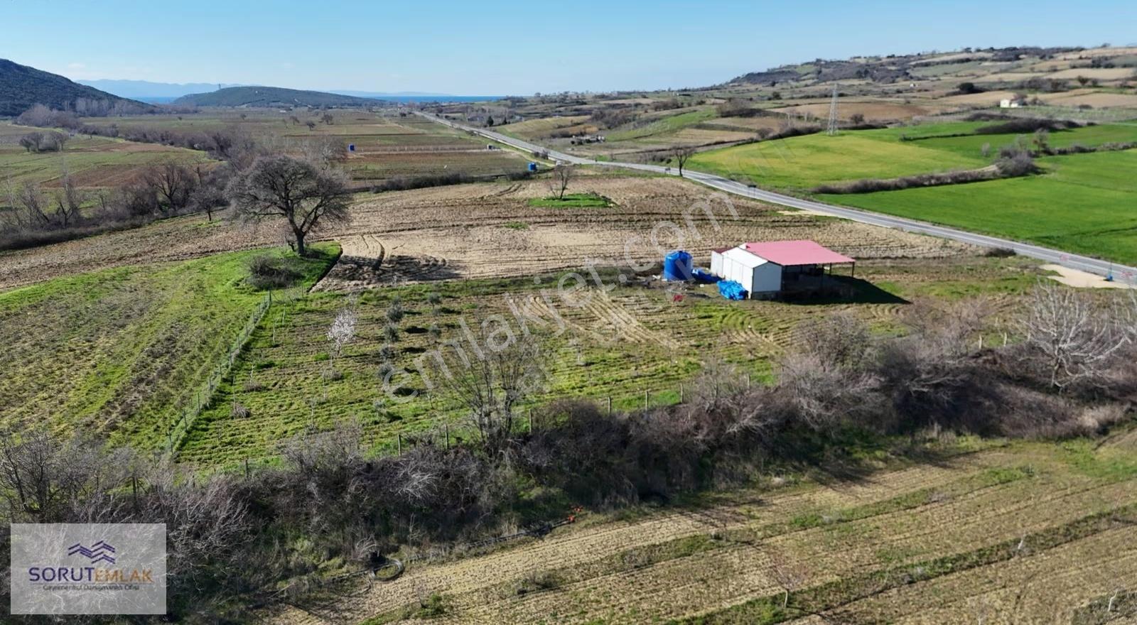 Mecidiye Köyü'nde Satılık 2800m² Fidanlık Ve Yaşam Alanı - Görsel 18