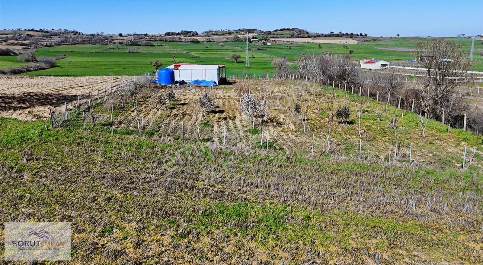 Mecidiye Köyü'nde Satılık 2800m² Fidanlık Ve Yaşam Alanı - Görsel 26