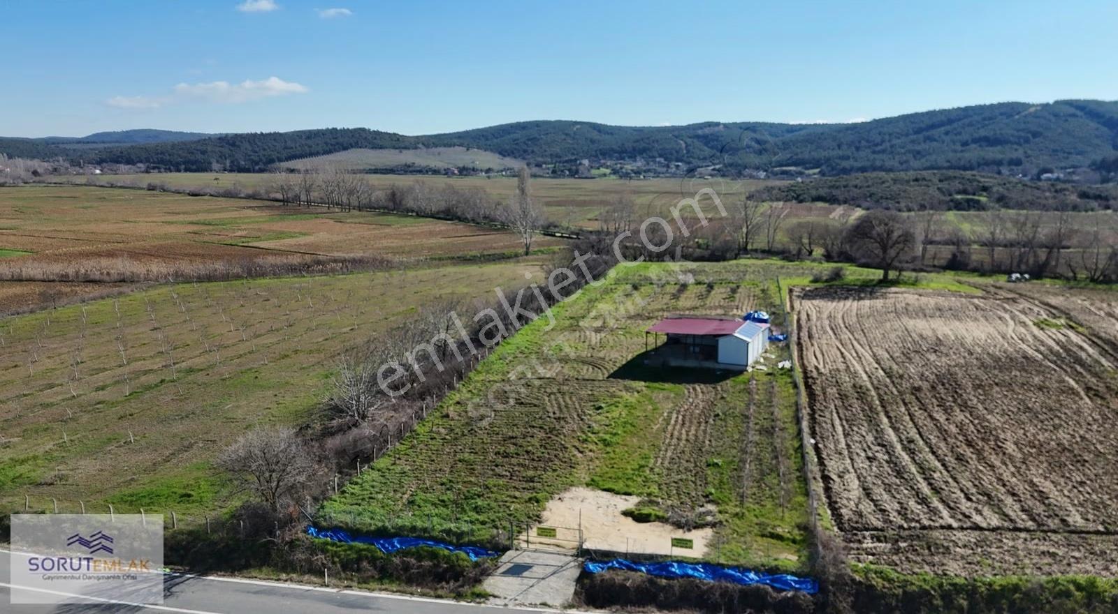 Mecidiye Köyü'nde Satılık 2800m² Fidanlık Ve Yaşam Alanı - Görsel 11