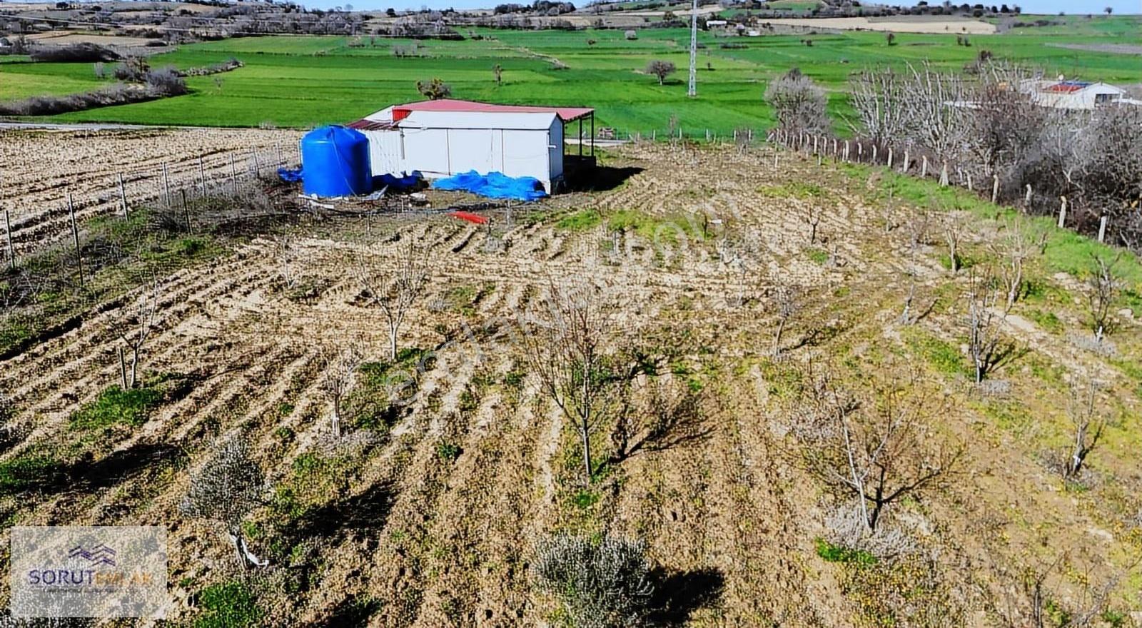 Mecidiye Köyü'nde Satılık 2800m² Fidanlık Ve Yaşam Alanı - Görsel 28