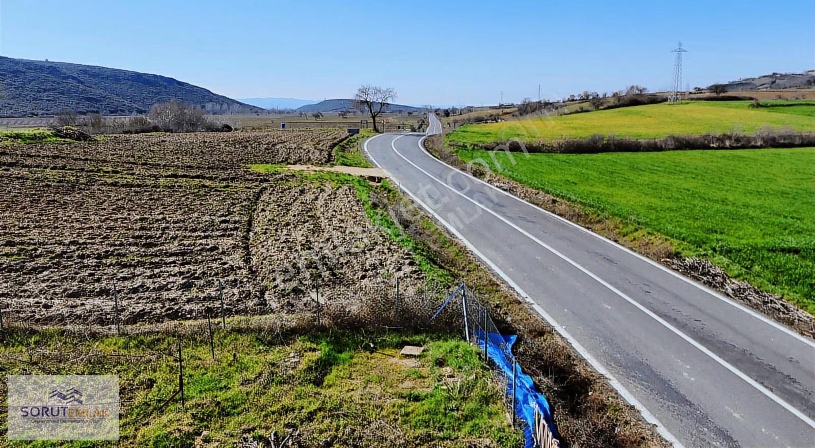 Mecidiye Köyü'nde Satılık 2800m² Fidanlık Ve Yaşam Alanı - Görsel 30