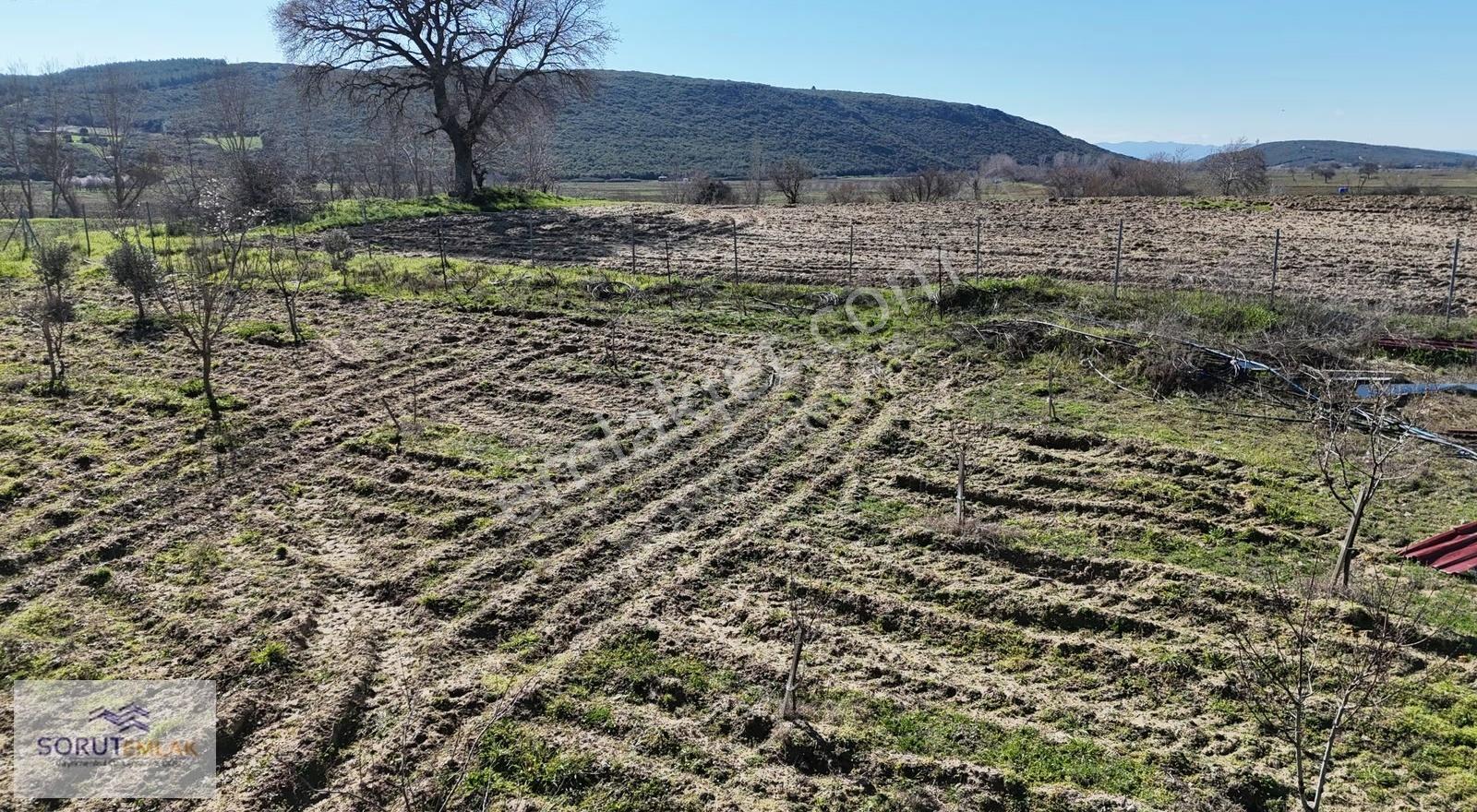 Mecidiye Köyü'nde Satılık 2800m² Fidanlık Ve Yaşam Alanı - Görsel 14