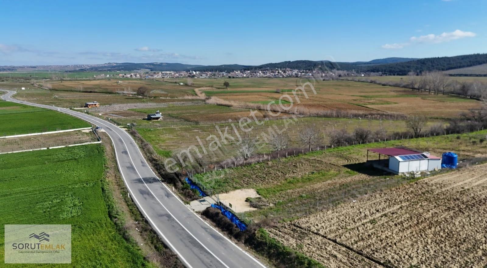 Mecidiye Köyü'nde Satılık 2800m² Fidanlık Ve Yaşam Alanı - Görsel 3