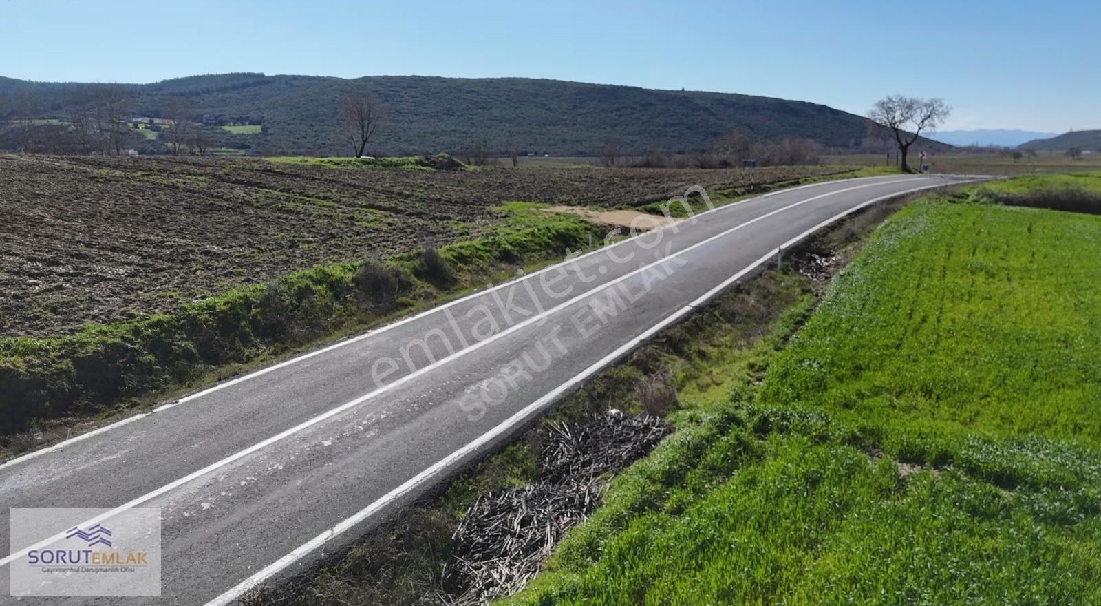 Mecidiye Köyü'nde Satılık 2800m² Fidanlık Ve Yaşam Alanı - Görsel 12