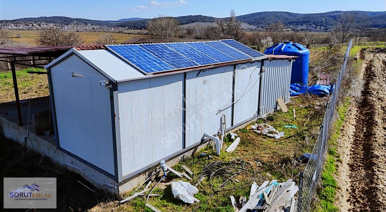 Mecidiye Köyü'nde Satılık 2800m² Fidanlık Ve Yaşam Alanı - Görsel 15