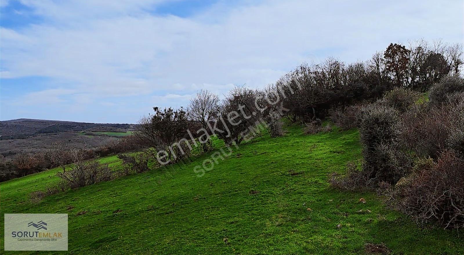 Enez Hisarlı Köyü'nde 38.838 M² Satılık Tarla Ve Çiftlik Evi - Görsel 17