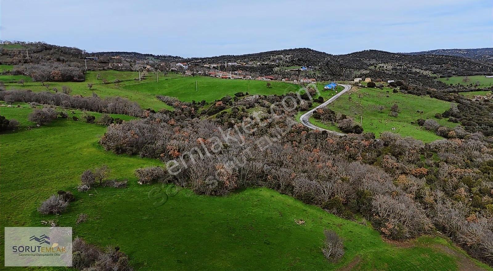 Enez Hisarlı Köyü'nde 38.838 M² Satılık Tarla Ve Çiftlik Evi - Görsel 26