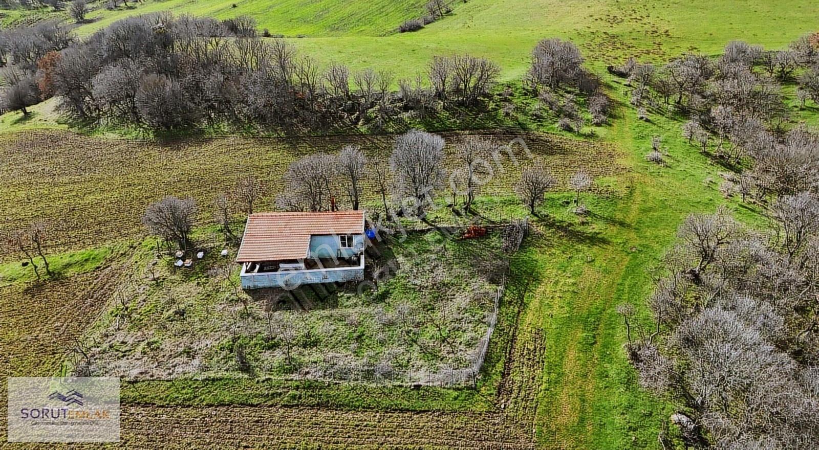 Enez Hisarlı Köyü'nde 38.838 M² Satılık Tarla Ve Çiftlik Evi - Görsel 34