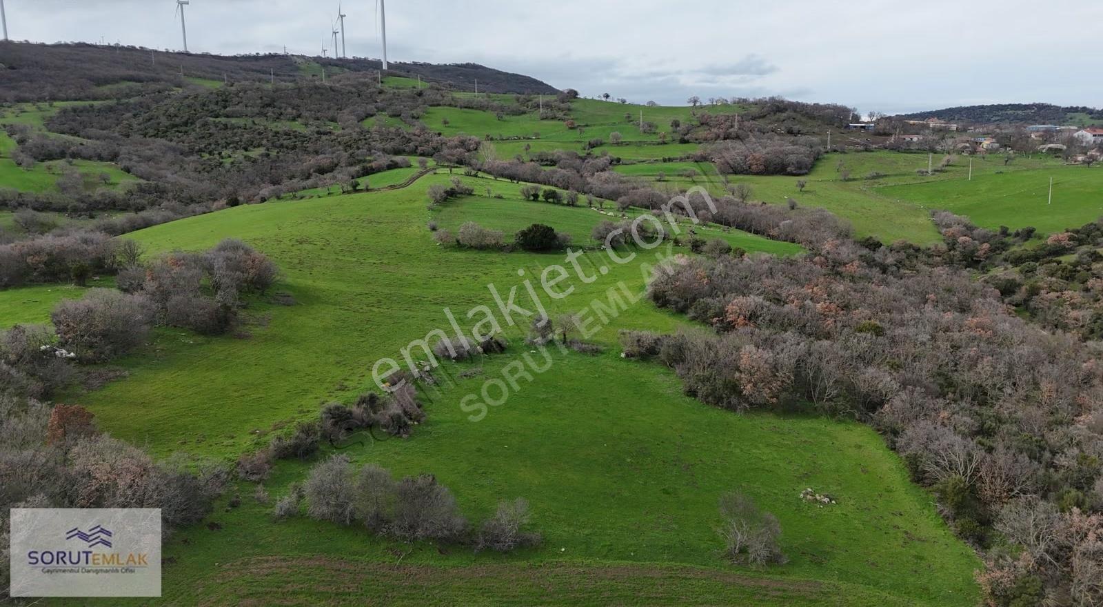 Enez Hisarlı Köyü'nde 38.838 M² Satılık Tarla Ve Çiftlik Evi - Görsel 33