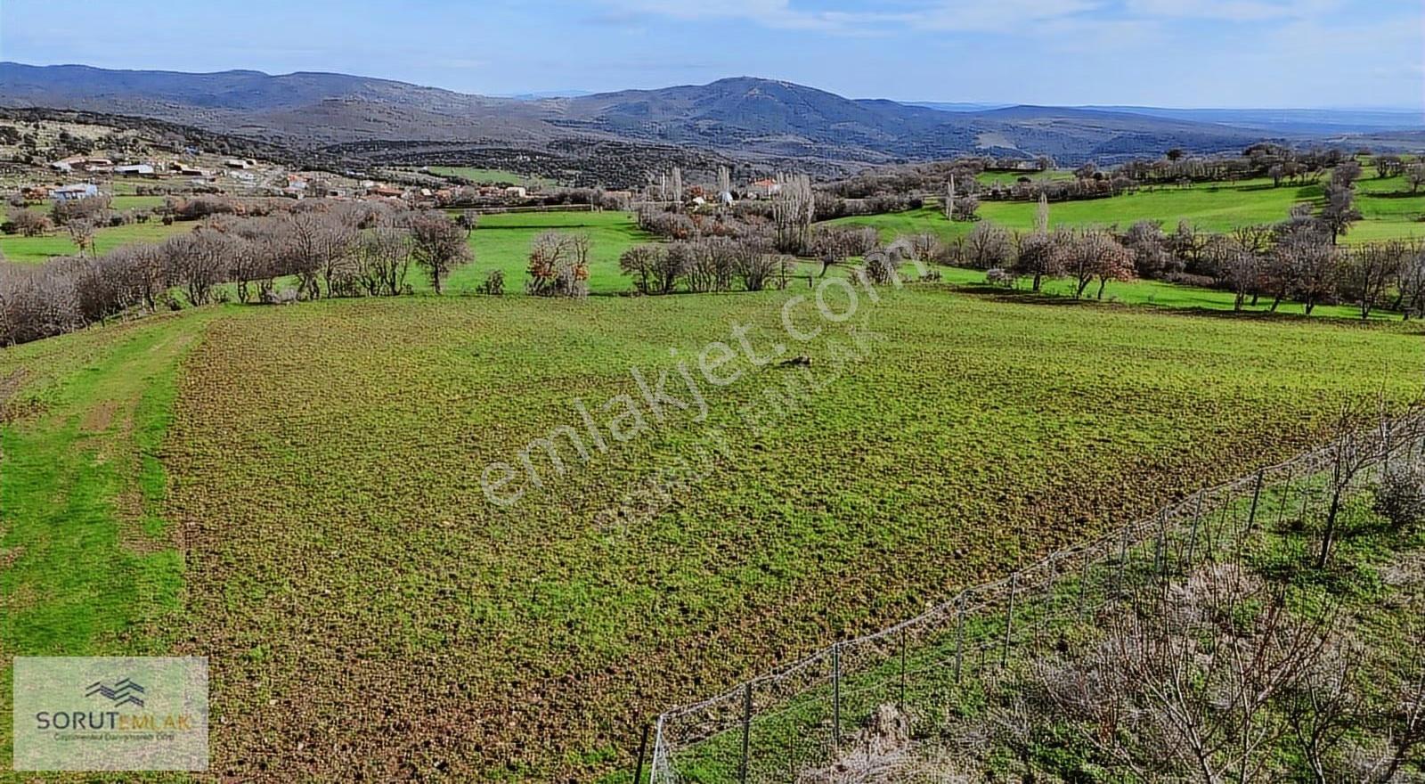 Enez Hisarlı Köyü'nde 38.838 M² Satılık Tarla Ve Çiftlik Evi - Görsel 5