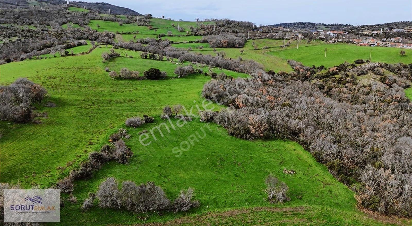 Enez Hisarlı Köyü'nde 38.838 M² Satılık Tarla Ve Çiftlik Evi - Görsel 4