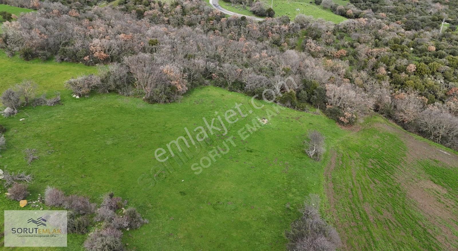 Enez Hisarlı Köyü'nde 38.838 M² Satılık Tarla Ve Çiftlik Evi