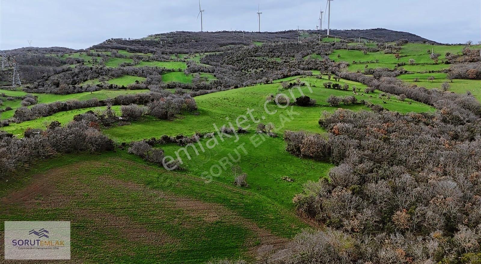 Enez Hisarlı Köyü'nde 38.838 M² Satılık Tarla Ve Çiftlik Evi - Görsel 11