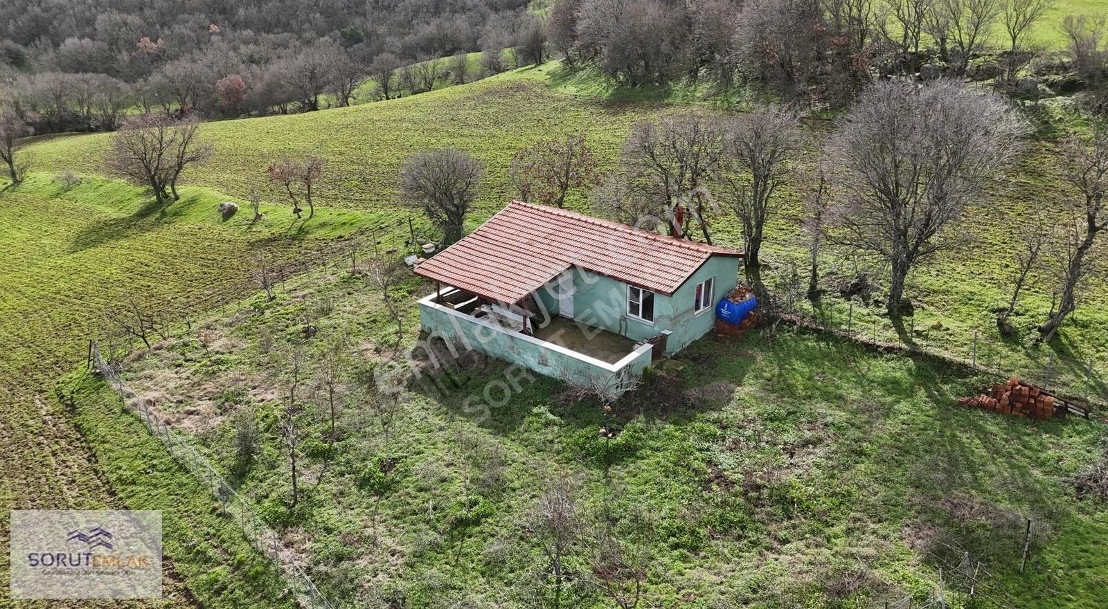 Enez Hisarlı Köyü'nde 38.838 M² Satılık Tarla Ve Çiftlik Evi - Görsel 16