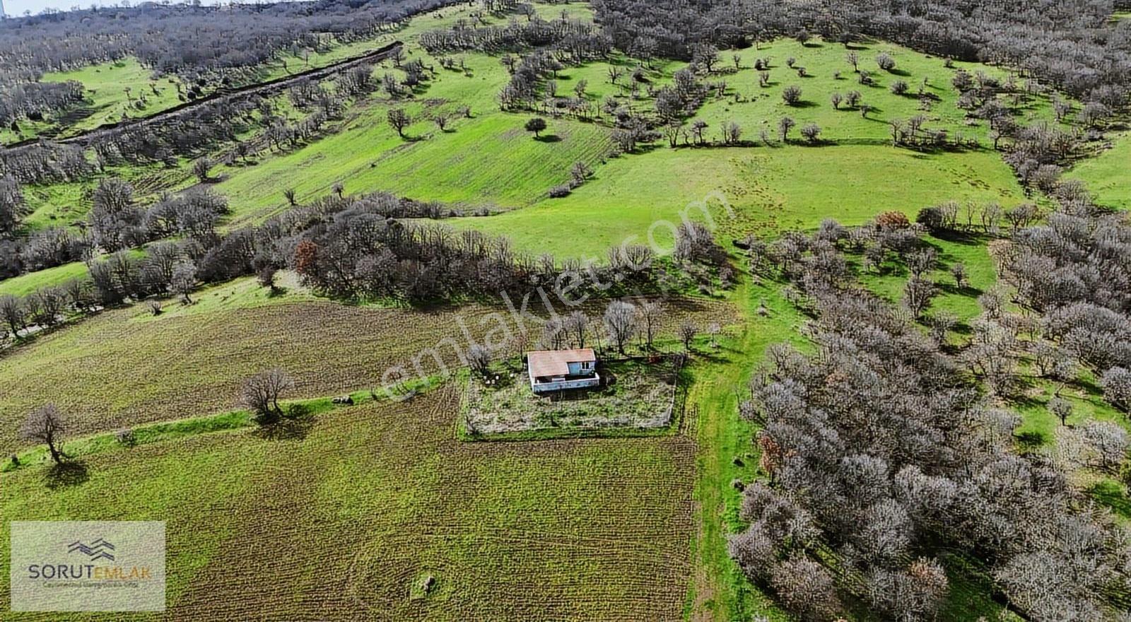 Enez Hisarlı Köyü'nde 38.838 M² Satılık Tarla Ve Çiftlik Evi - Görsel 8