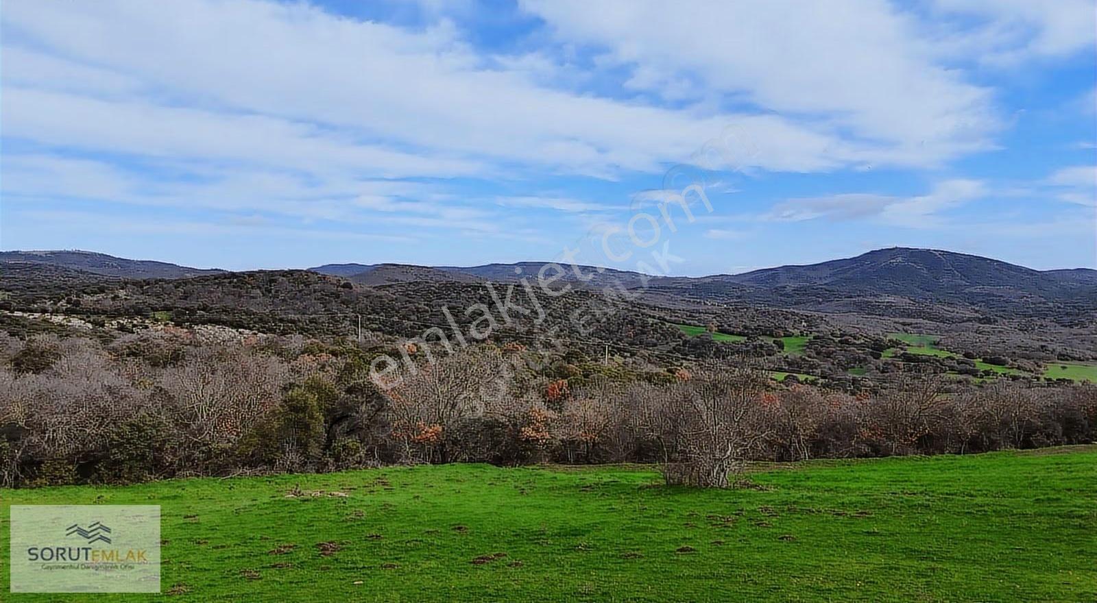 Enez Hisarlı Köyü'nde 38.838 M² Satılık Tarla Ve Çiftlik Evi - Görsel 22