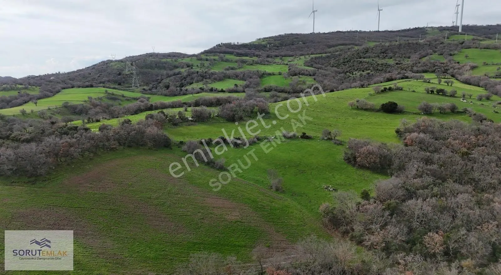 Enez Hisarlı Köyü'nde 38.838 M² Satılık Tarla Ve Çiftlik Evi - Görsel 2