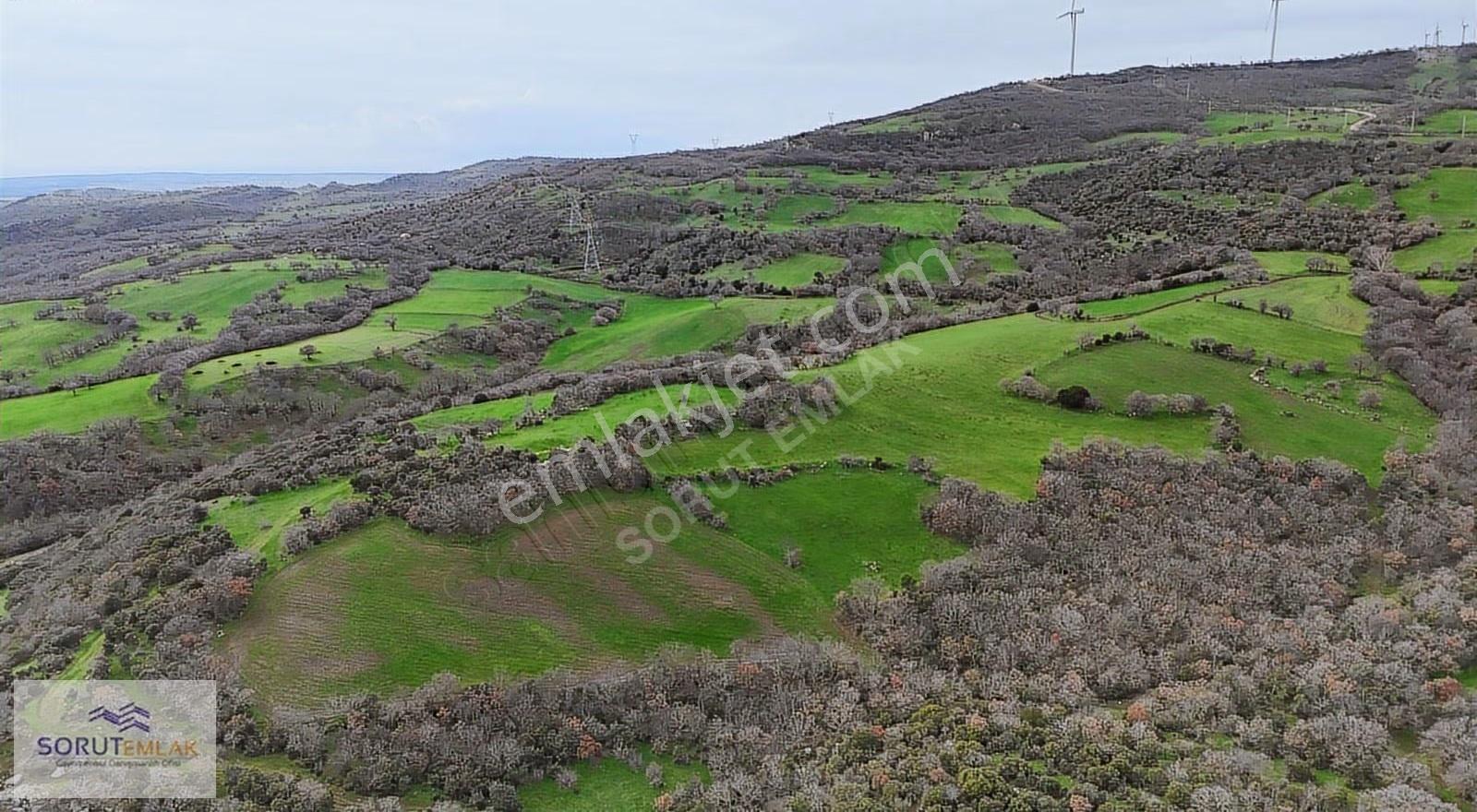 Enez Hisarlı Köyü'nde 38.838 M² Satılık Tarla Ve Çiftlik Evi - Görsel 13