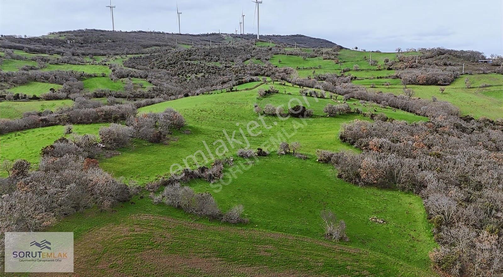 Enez Hisarlı Köyü'nde 38.838 M² Satılık Tarla Ve Çiftlik Evi - Görsel 31