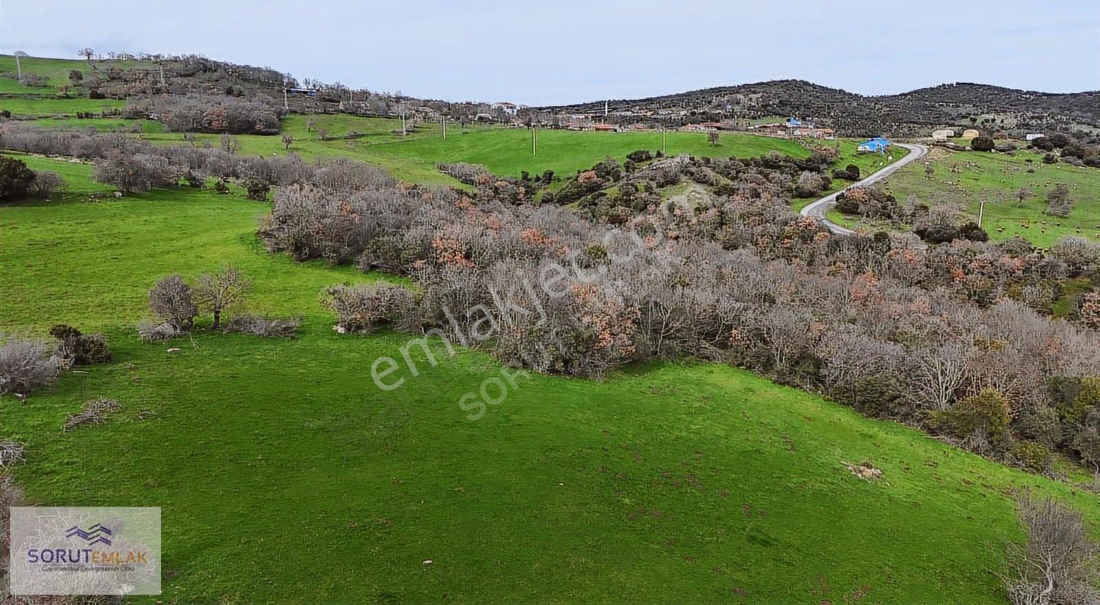 Enez Hisarlı Köyü'nde 38.838 M² Satılık Tarla Ve Çiftlik Evi - Görsel 32