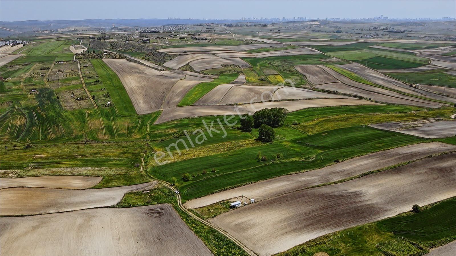 Arnavutköy Hacımaşlı Satılık Tek Tapu Arsa - Görsel 6