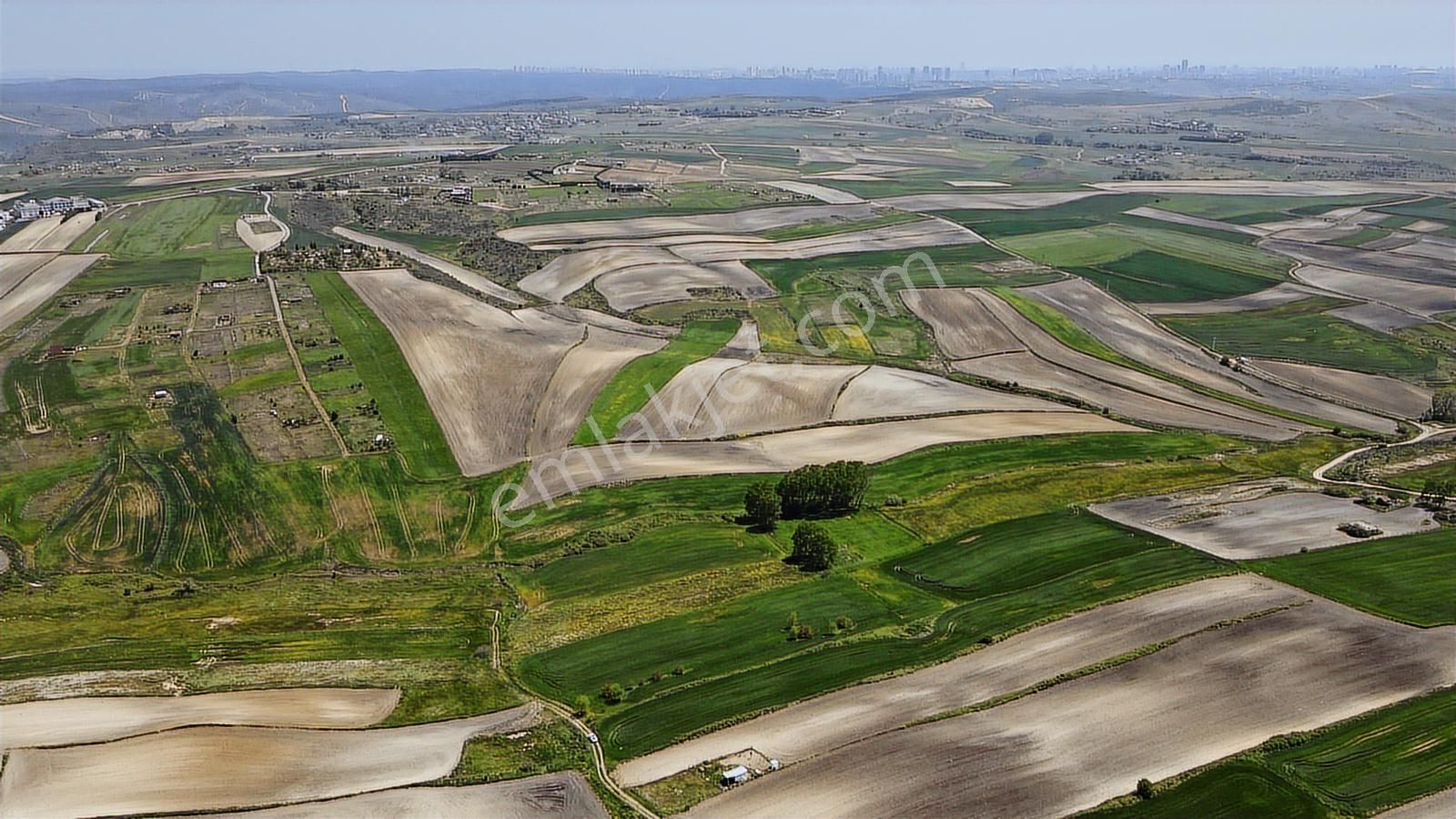 Arnavutköy Hacımaşlı Satılık Tek Tapu Arsa - Görsel 3